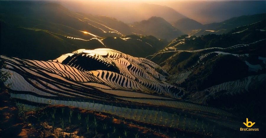 Hình ảnh Ruộng Bậc Thang Sáng Sơm Sương Phủ