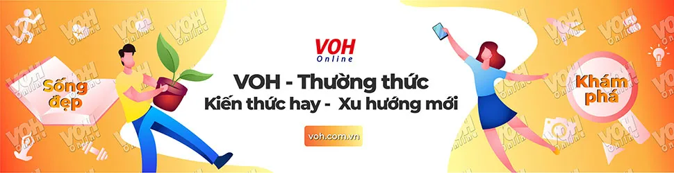 Quý hồ tinh bất quý hồ đa 1