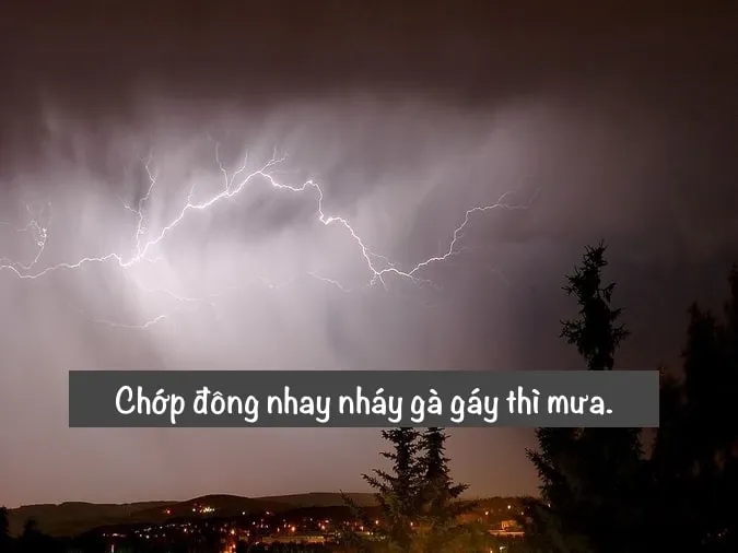 (xong) Giải thích ý nghĩa câu tục ngữ ‘Ráng mỡ gà có nhà thì giữ’ 2