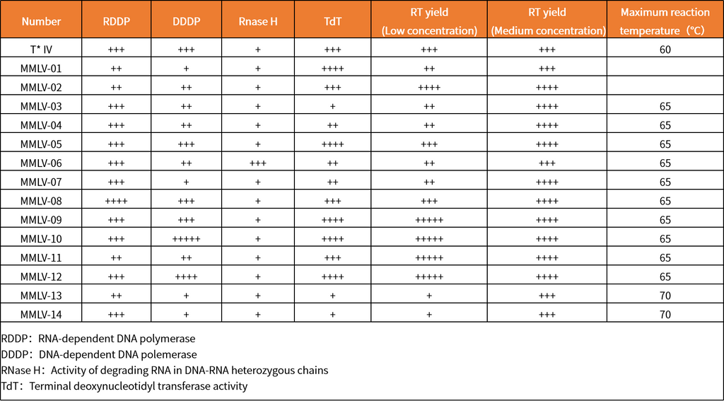 Chẩn đoán chính xác bắt đầu bằng phiên mã ngược