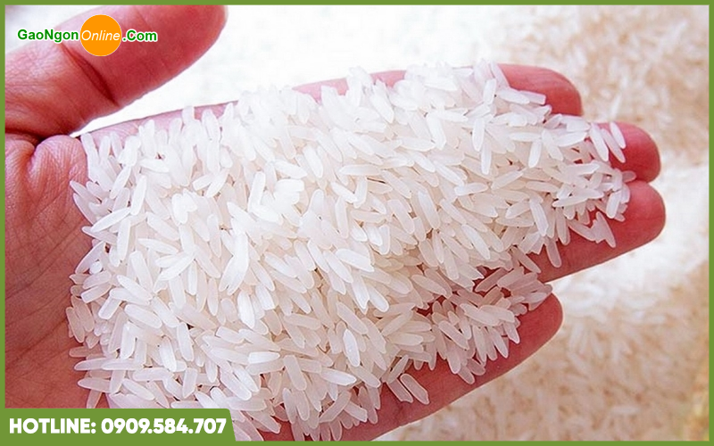 Gạo chất lượng tại Cần Thơ