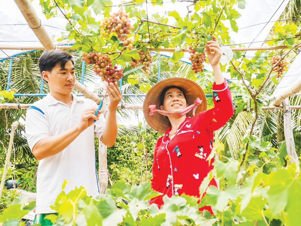 VĂN HÓA - GIẢI TRÍ 				 > Sáng tác - Biên khảo