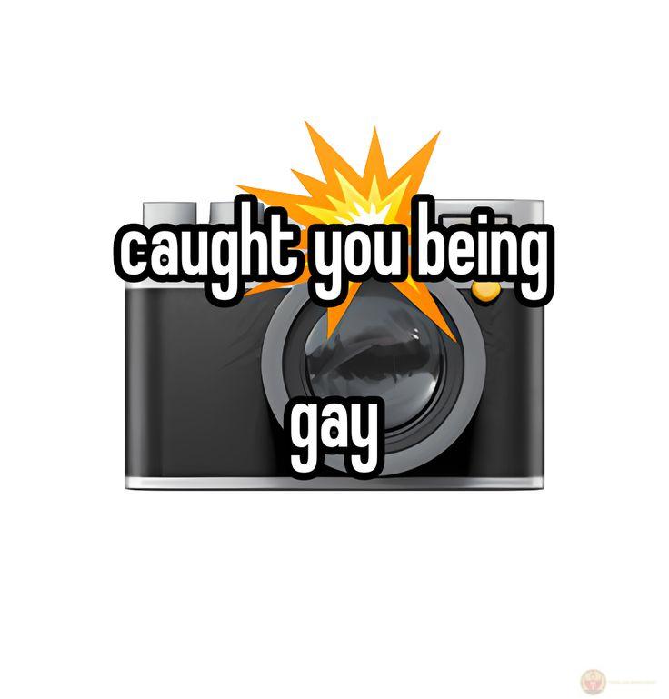 Ảnh chế meme sẽ gầy thú vị nhất