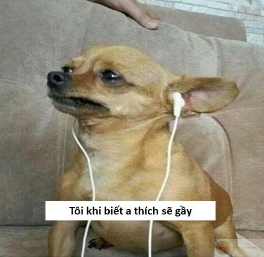 chế meme sẽ gầy