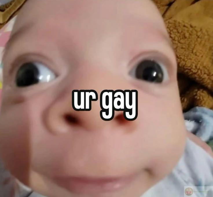 Gầy sẽ meme ảnh chế thú vị