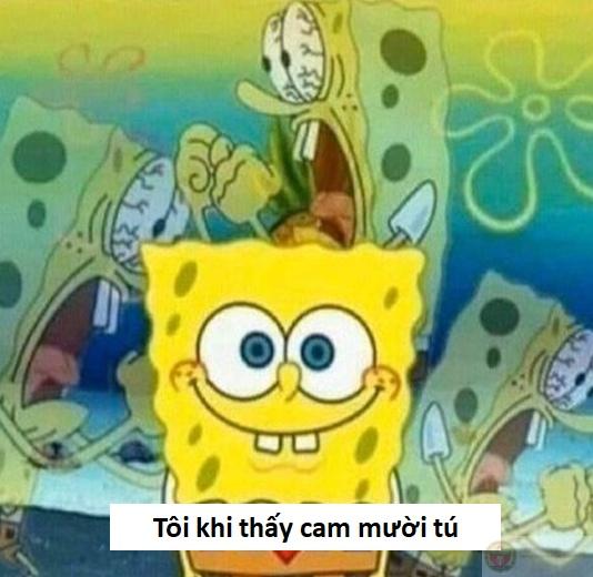 ảnh chế sẽ gầy hài