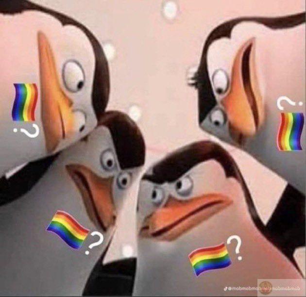 Meme chế ảnh sẽ gầy thú vị nhất