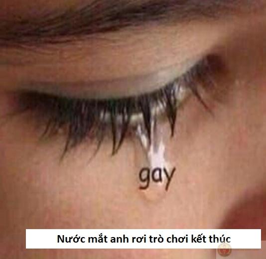 meme gầy