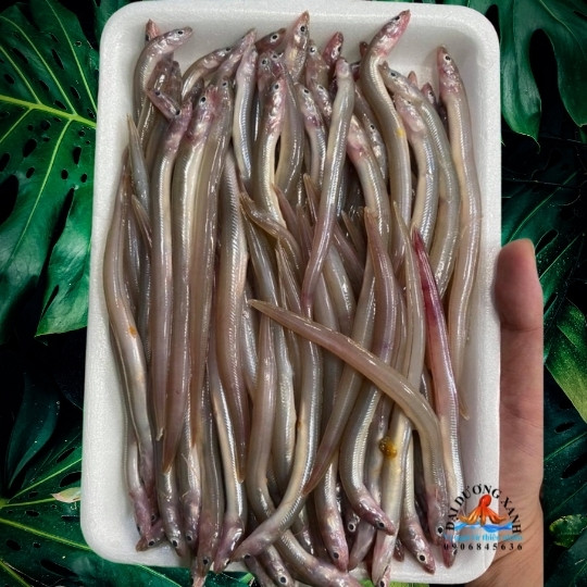 Cá Sụn Sịn Tươi Ngon | Ca Sun Sin -1kg