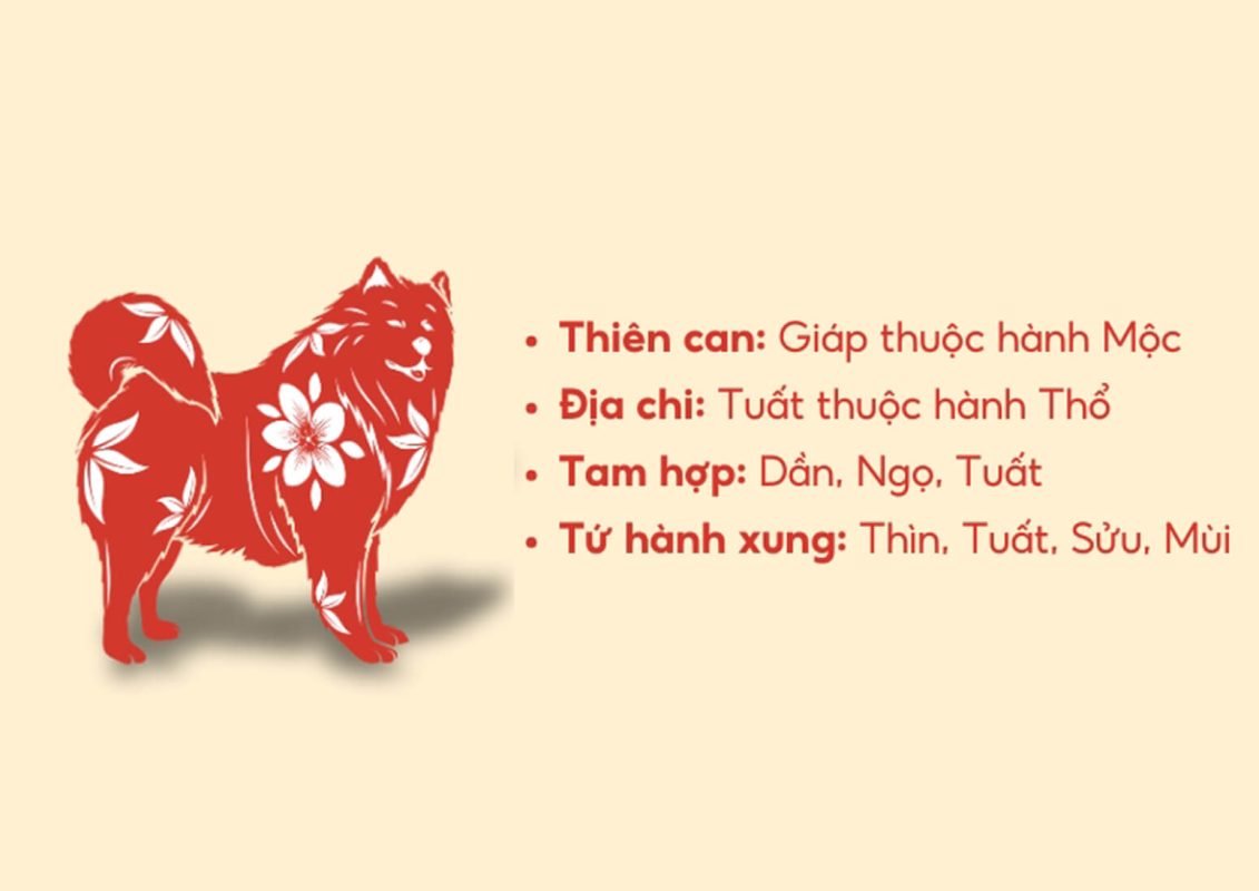 Người sinh năm 1994 tuổi gì. Tử vi người tuổi 1994
