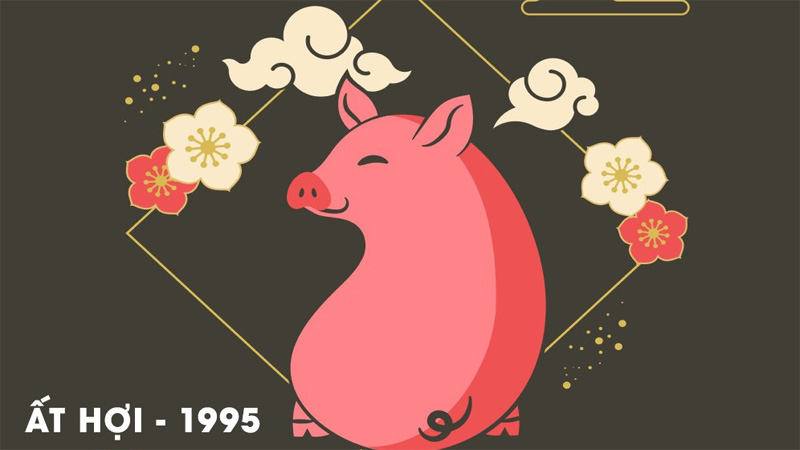 Ất Hợi 1995 năm nay 2025 bao nhiêu tuổi? Học lớp 1, 6, 9, 12 năm nào?