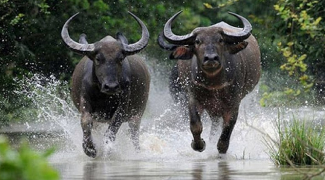 Sinh năm 1997 năm nay 2025 bao nhiêu tuổi