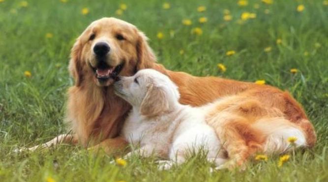 Sinh năm 2006 (2k6) vào năm 2024 bao nhiêu tuổi