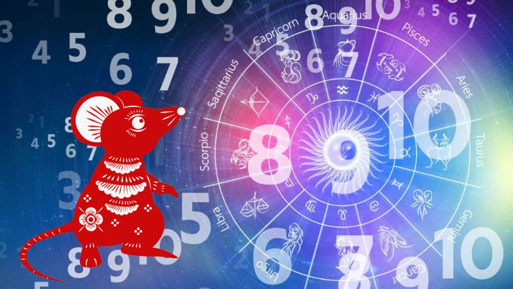 Sinh năm 2008 hợp số nào?