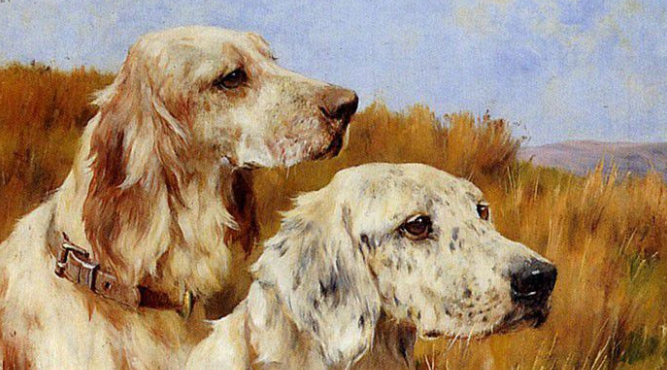 Sinh năm 2018 (2k18) năm nay 2025 bao nhiêu tuổi