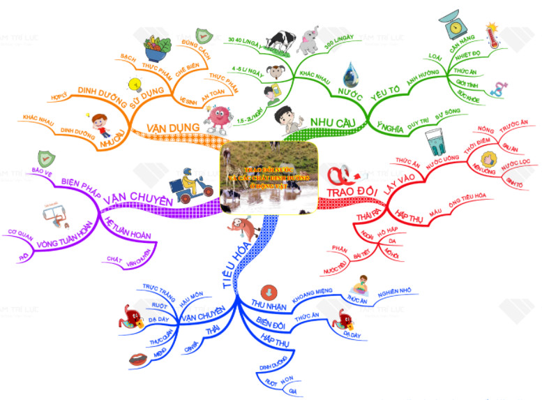 Sơ đồ tư duy hình ảnh kết hợp biểu tượng