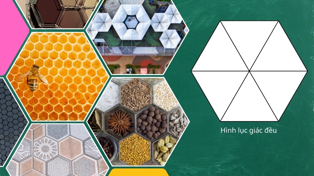 Tất tần tật thông tin về hình lục giác đều cho bạn
