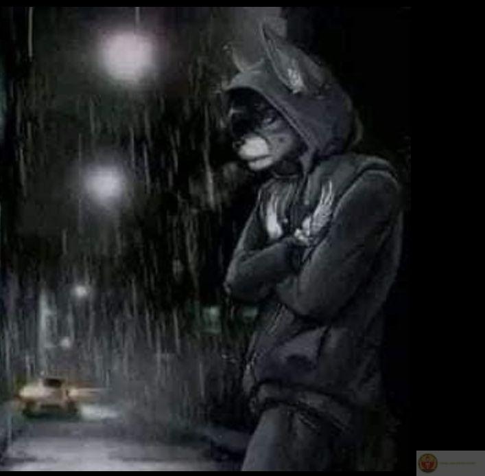 Sói cô độc meme nhảy hài hước giúp bầu không khí trò chuyện thêm phần vui tươi