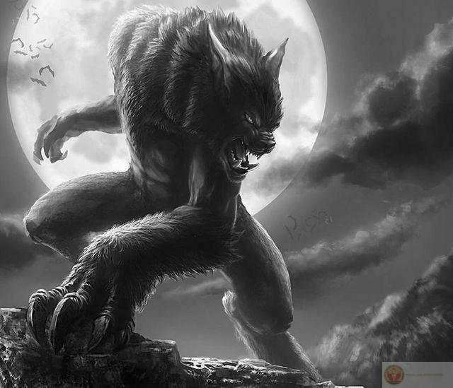 Sói cô độc meme nhảy lan truyền nhanh nhờ sự kết hợp độc đáo trong chế ảnh