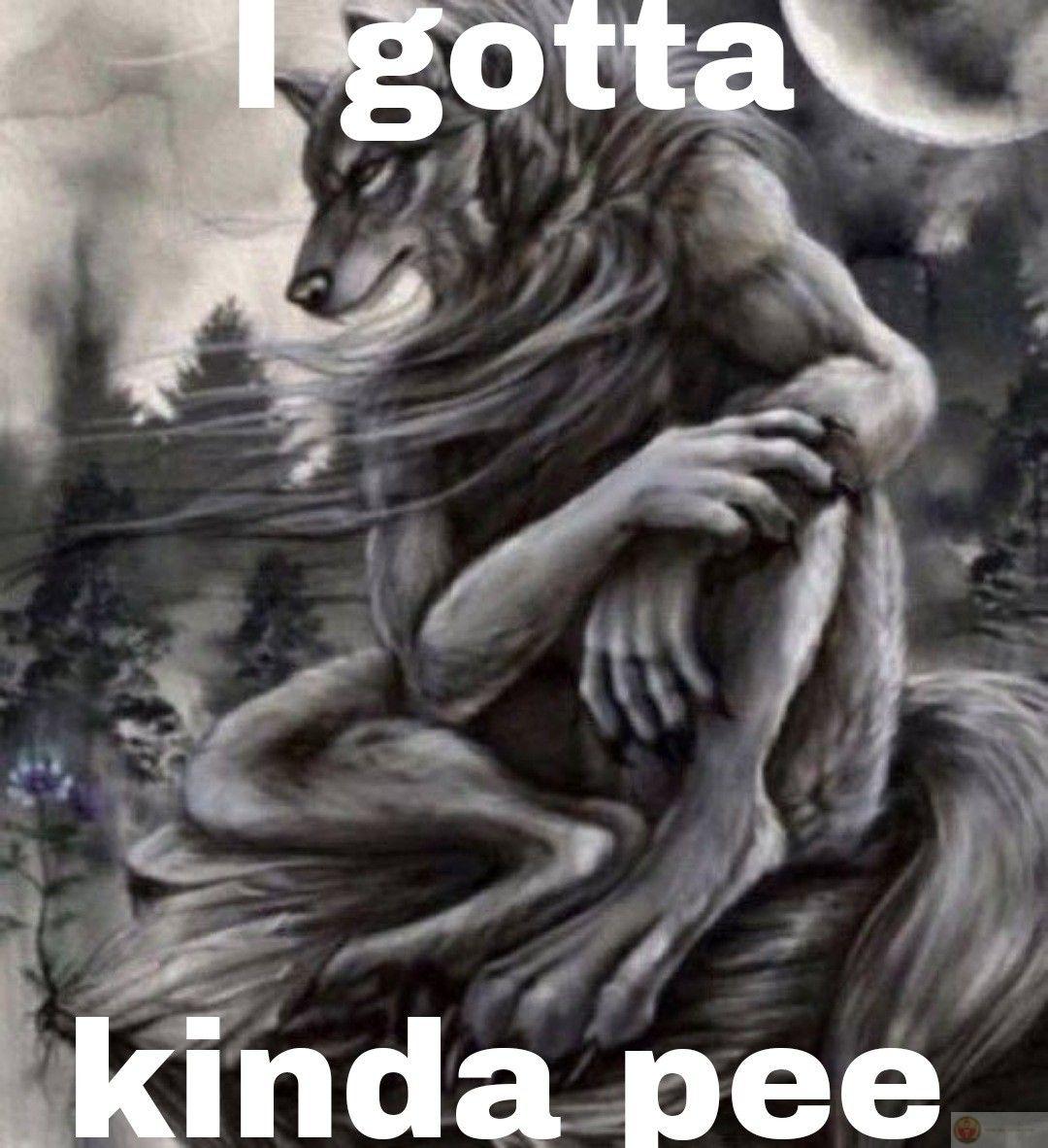 Sói cô độc meme nhảy mang lại sự hài hước bất ngờ trong nhiều hội nhóm online