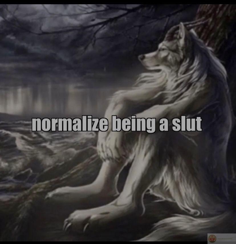 Sói hoang cô độc meme tạo sự đồng cảm hài hước khi chế giễu sự ngầu quá mức