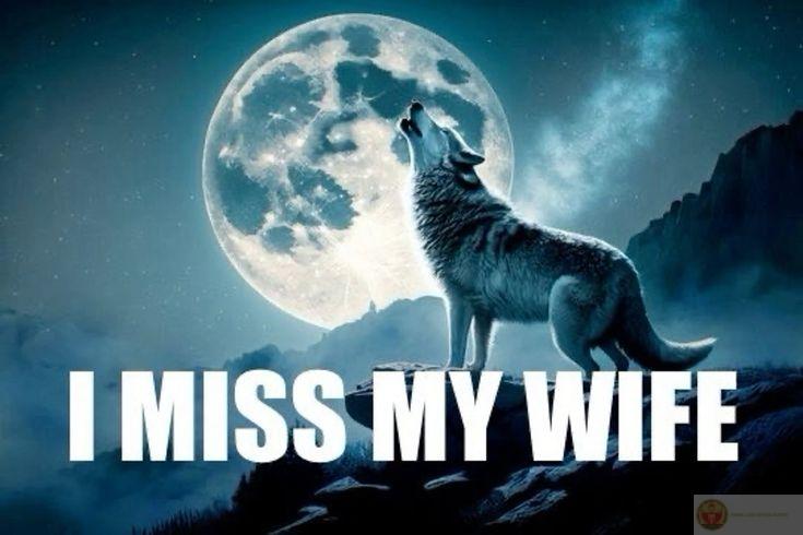 Sói cô độc meme trở thành một trong những trào lưu chế ảnh phổ biến nhất