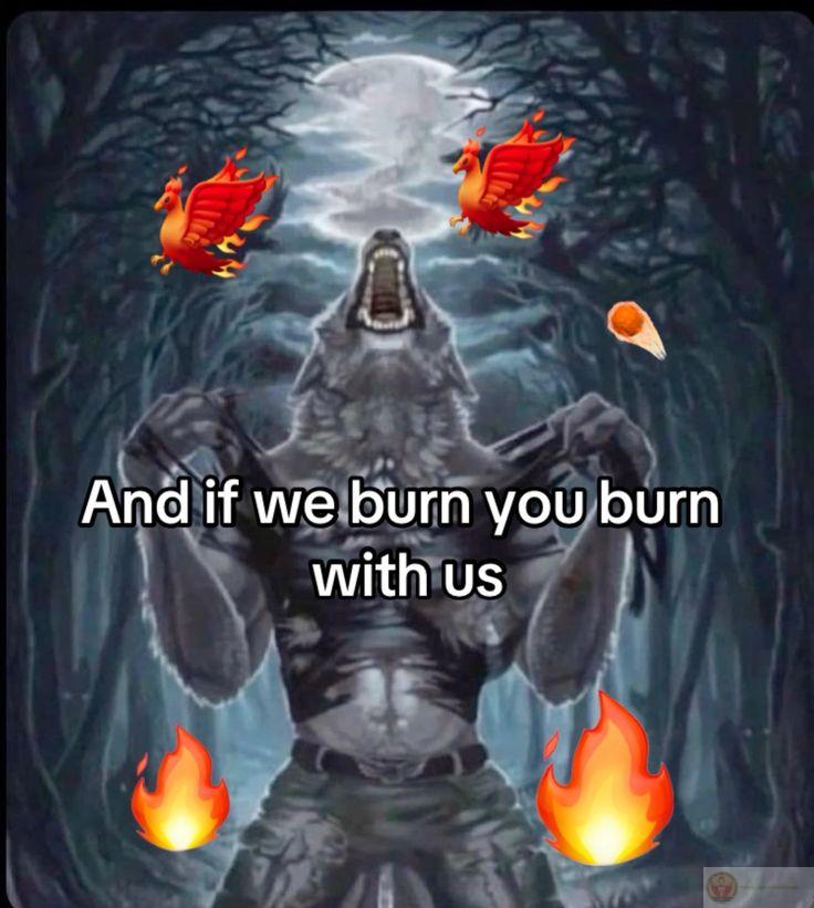 Sói cô độc xé áo meme gây cười vì sự đối lập giữa hình ảnh và nội dung