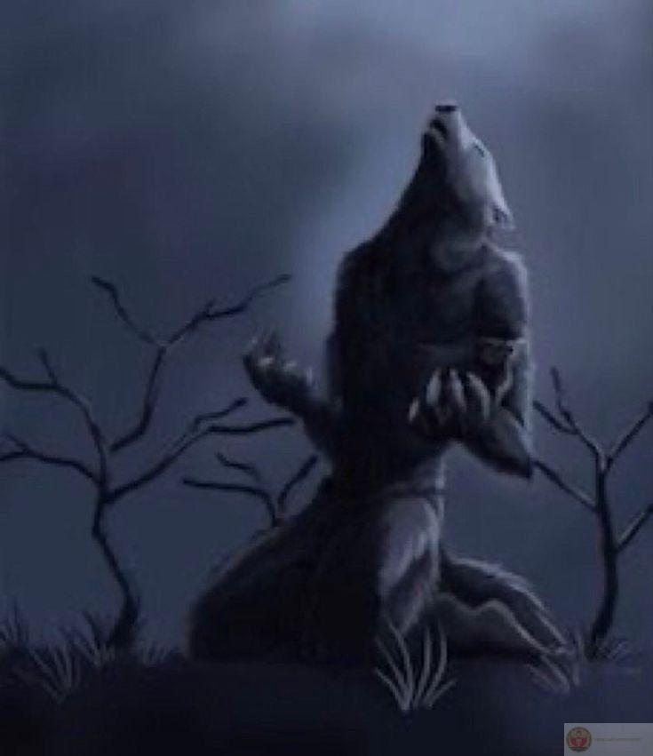 Sói hoang cô độc meme trở thành nguồn cảm hứng cho những trò đùa online