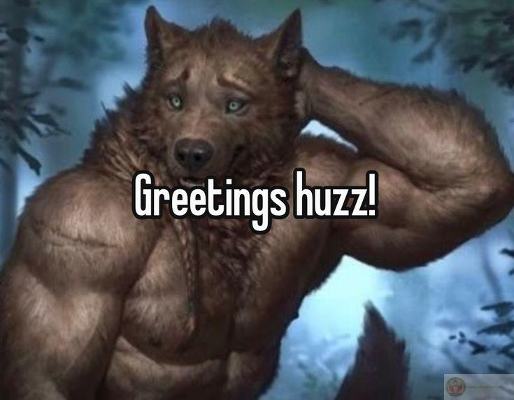 Sói già cô độc meme thể hiện sự hài hước thông qua phong cách