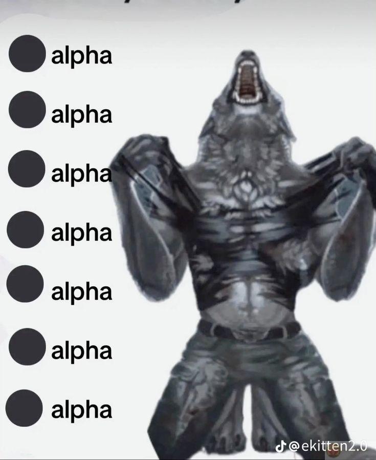 Sói già cô độc meme luôn khiến người xem bật cười vì sự