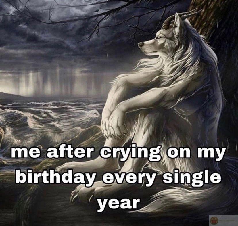 Ảnh chế sói cô độc thể hiện sự độc đáo và sáng tạo của cộng đồng mạng