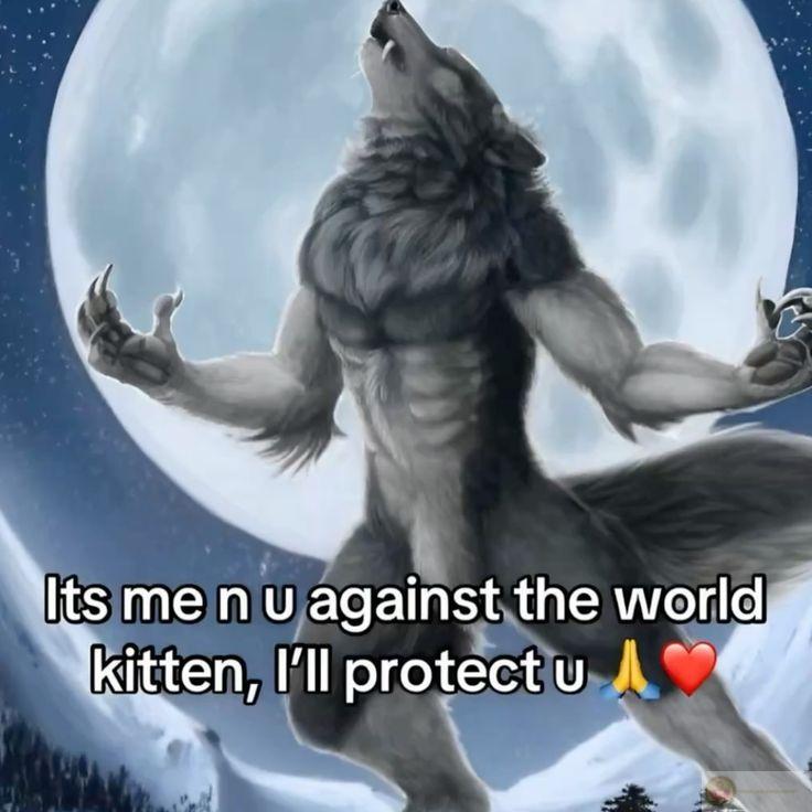 Ảnh chế sói cô độc trở thành nguồn cảm hứng sáng tạo bất tận cho cộng đồng