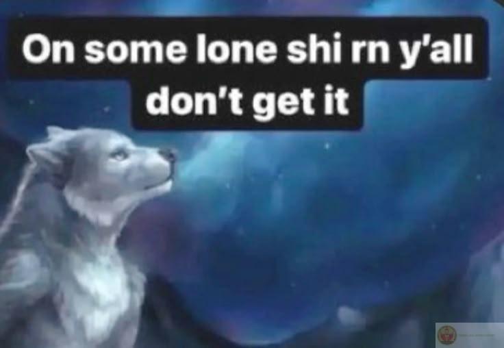 Ảnh sói cô độc meme cho thấy sức hút bền bỉ của văn hóa chế ảnh hài hước