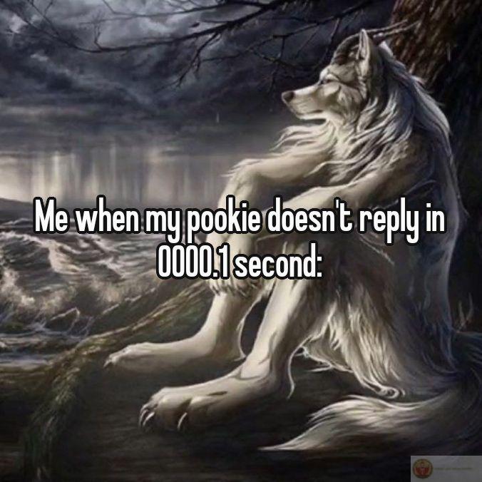 Ảnh sói cô độc meme được chế thành nhiều phiên bản khiến cộng đồng thích thú