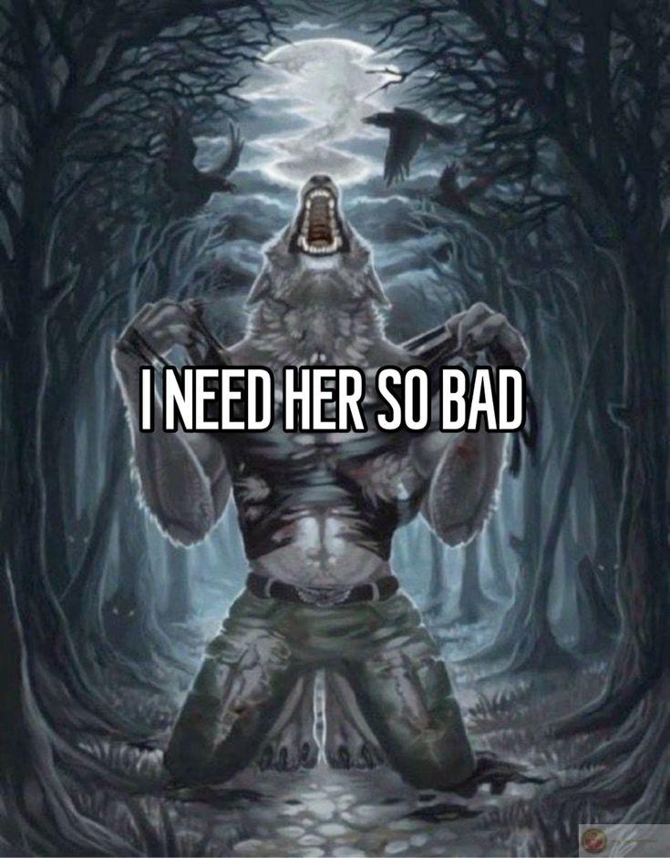 Ảnh sói cô độc meme là lựa chọn phổ biến khi chế ảnh troll bạn bè