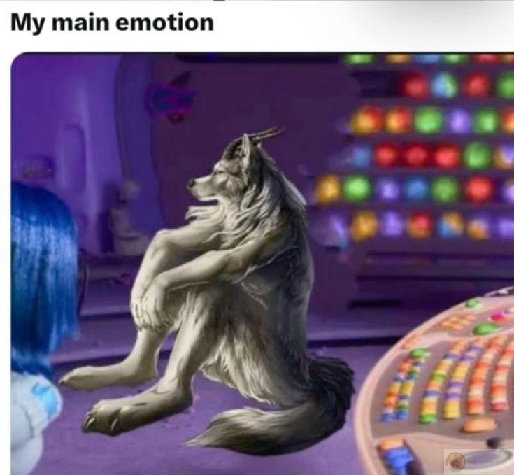 Ảnh sói cô độc meme tạo nên những tiếng cười vui nhộn qua các biến thể hài