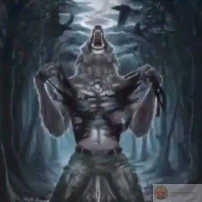 Ảnh sói cô độc meme thường đi kèm lời châm biếm hài hước đầy sáng tạo