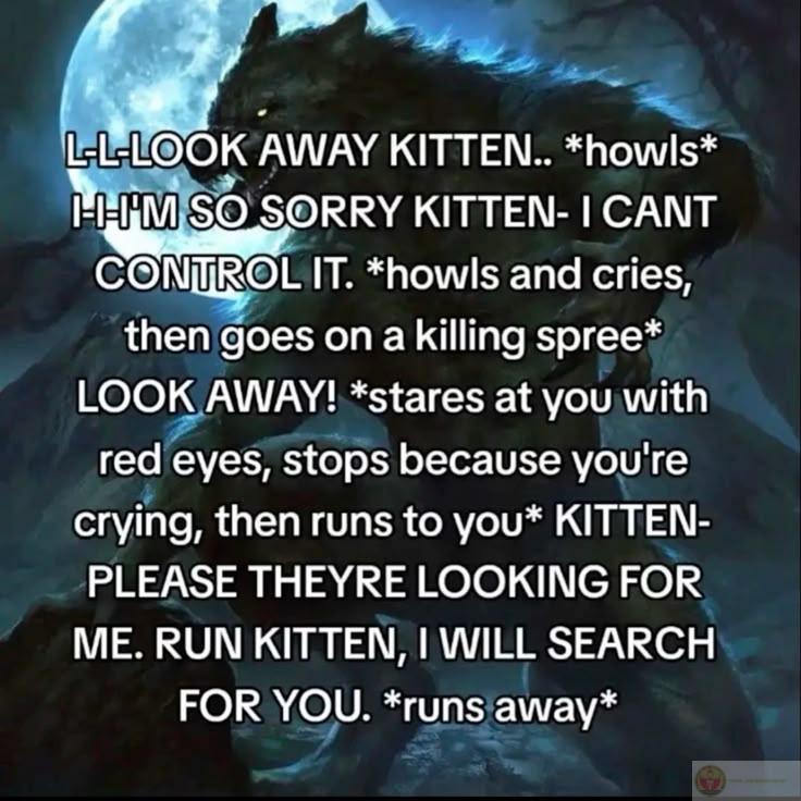 Ảnh sói cô độc meme thường xuất hiện kèm chữ chế đầy tính châm biếm thú vị