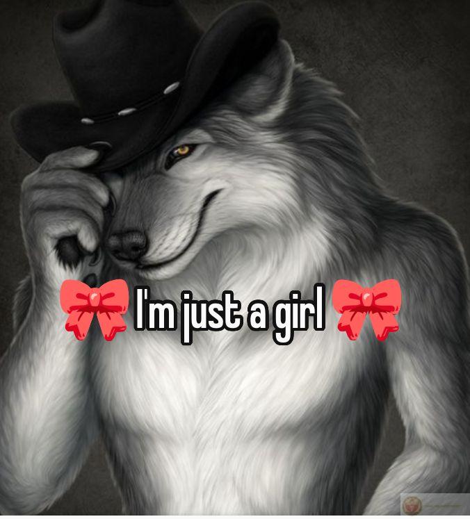 Ảnh sói cô độc meme thường kết hợp với chữ chế để tăng tính hài hước