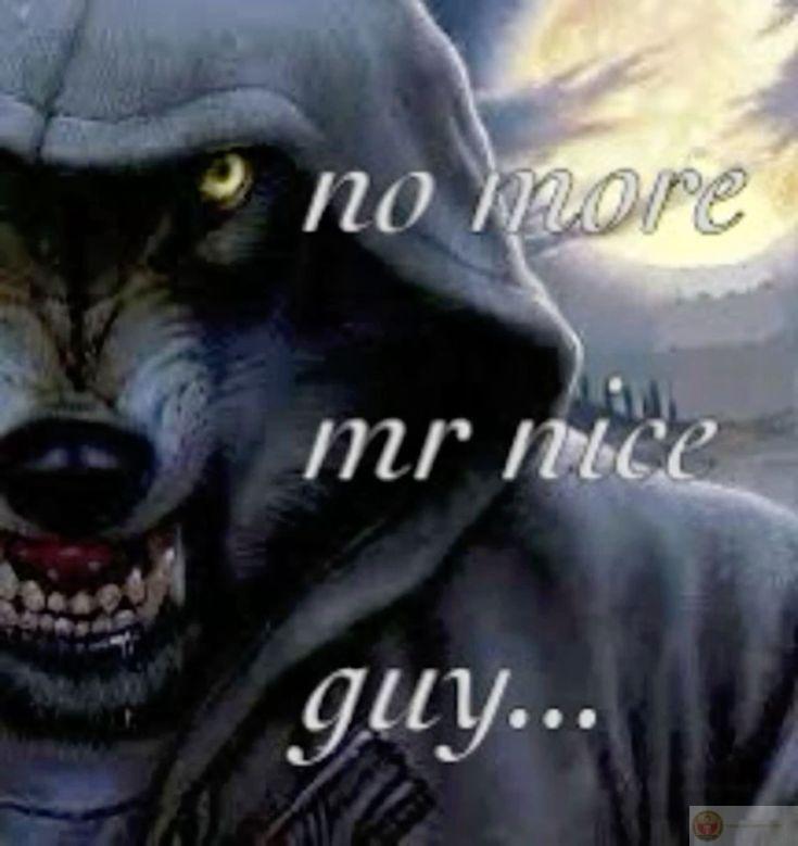 Ảnh sói cô độc meme thường xuyên xuất hiện trong các cuộc trò chuyện online