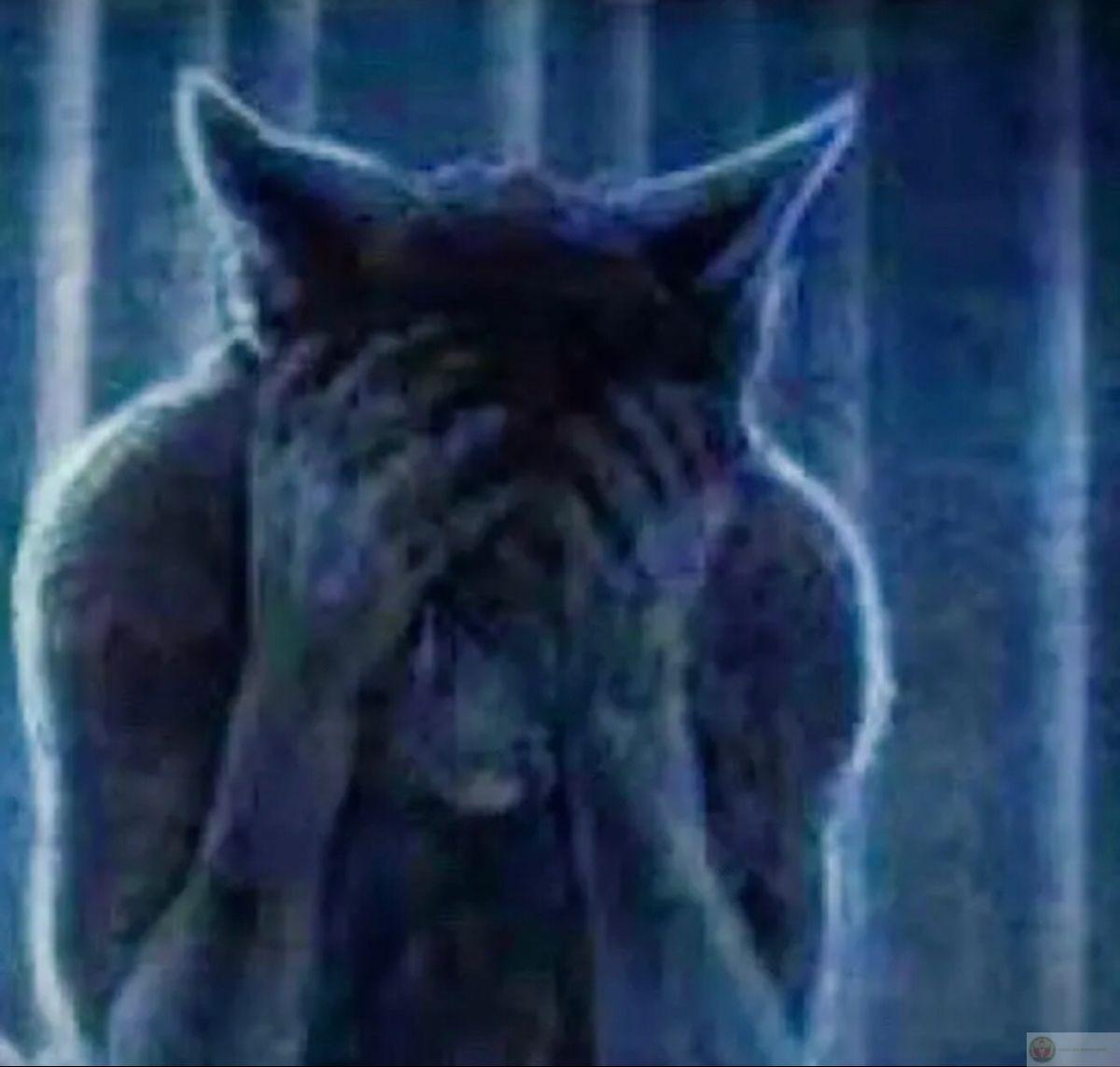 Con sói cô độc meme khiến người xem bật cười vì sự ngầu lòi lố bịch đáng yêu