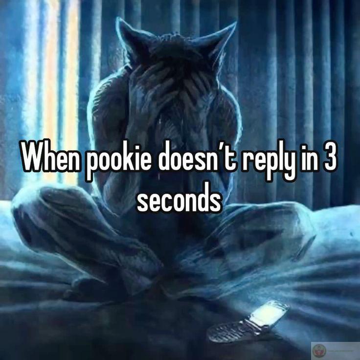 Con sói cô độc meme phản ánh sự mâu thuẫn giữa hình ảnh mạnh mẽ và nội dung hài