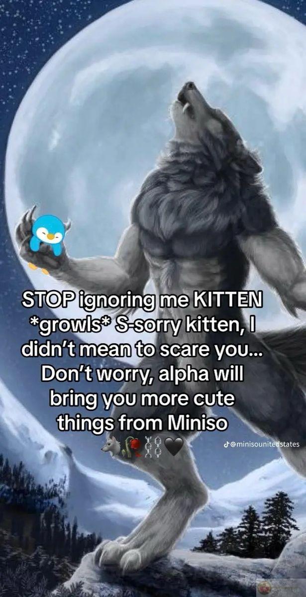 Con sói cô độc meme trở thành một phần không thể thiếu trong giới chế ảnh