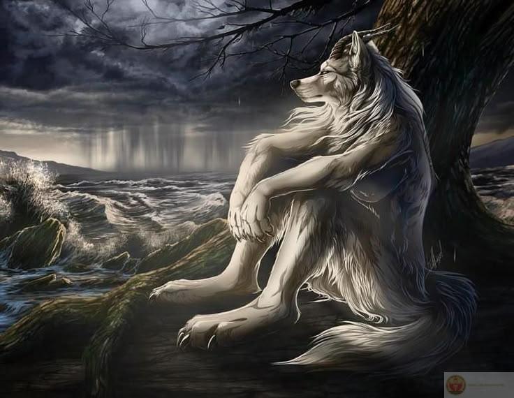 Meme sói cô độc cho thấy khả năng sáng tạo không ngừng của giới trẻ online