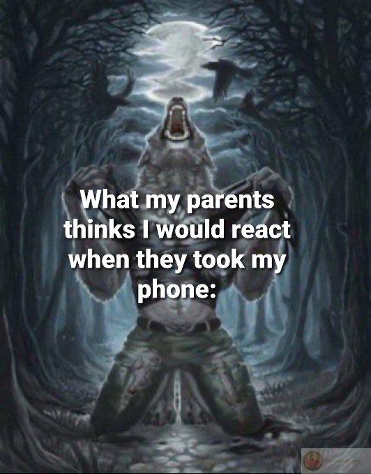 Meme sói cô độc góp phần tạo sự gắn kết hài hước trong cộng đồng mạng