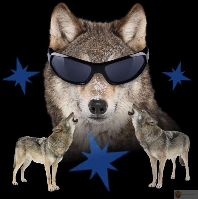 Meme sói cô độc khơi gợi tiếng cười nhờ sự kết hợp giữa ngầu và lố bịch