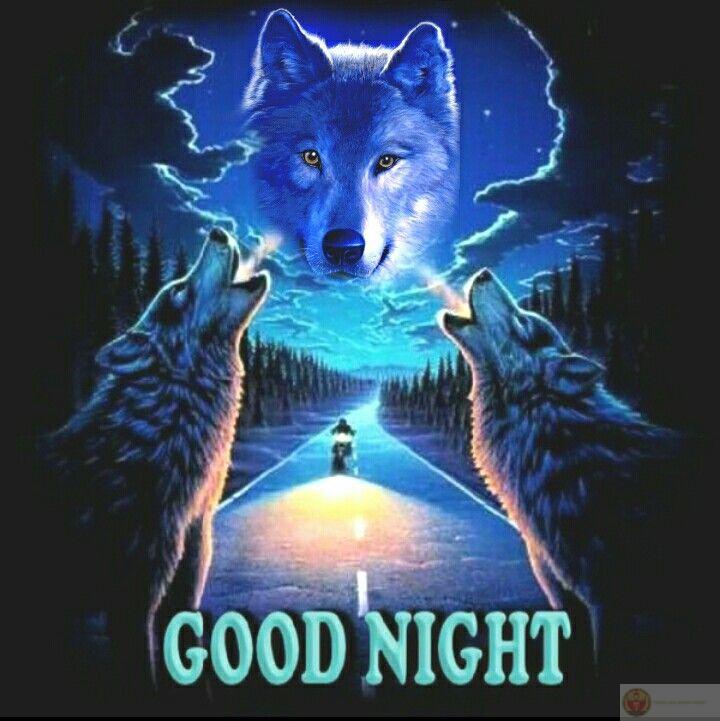 Meme sói cô độc lan truyền mạnh mẽ nhờ sự độc đáo và vui nhộn của hình ảnh