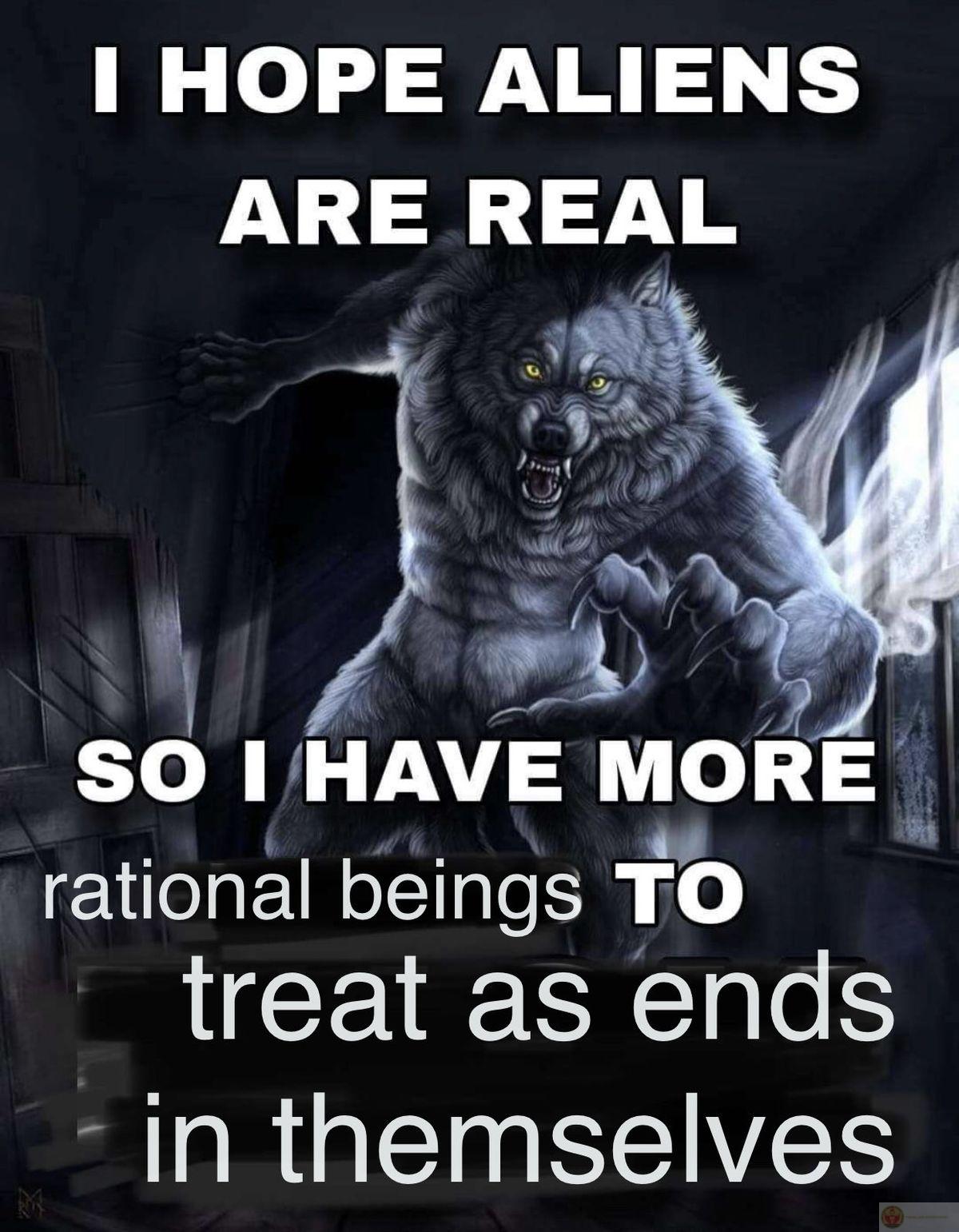 Meme sói cô độc mang đến cho cộng đồng mạng cảm giác hài hước mới mẻ