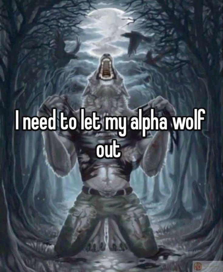 Meme sói cô độc phản ánh sự hài hước từ những chi tiết tưởng chừng nghiêm túc