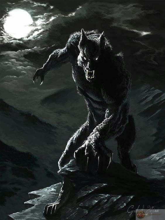 Sói cô độc meme giúp thể hiện sự dí dỏm mà không cần lời giải thích dài